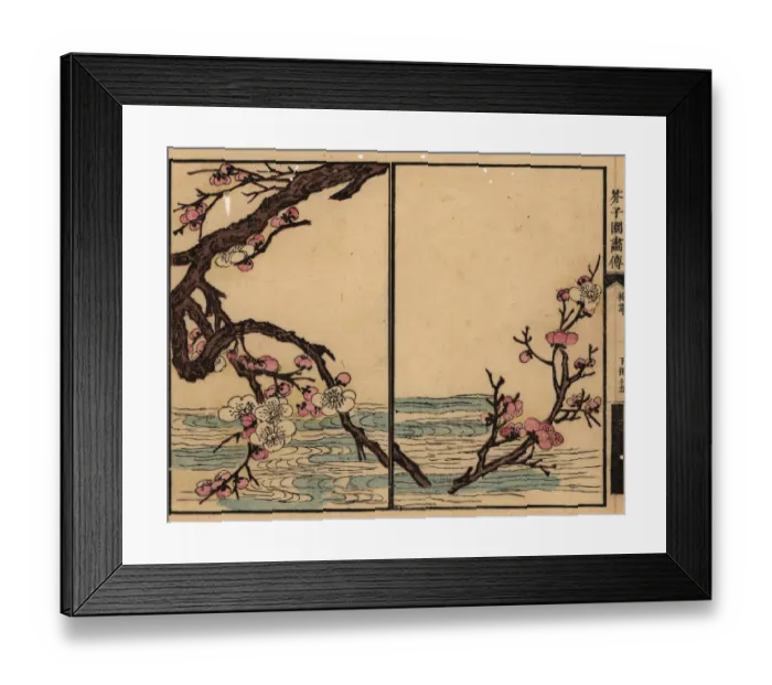 Framed Print : Branch of pink plum blossom over a river Framed Print : Branch of pink plum blossom over a river