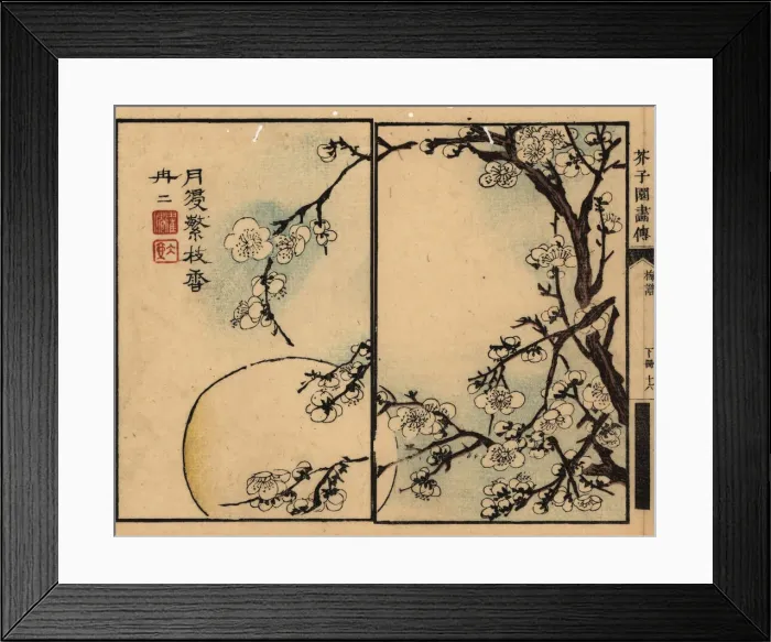 Framed Print : Branches of white plum blossom against a full moon Framed Print : Branches of white plum blossom against a full moon