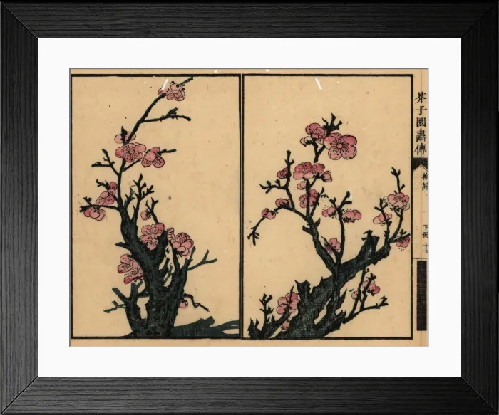 Framed Print : Branches of plum blossom Framed Print : Branches of plum blossom