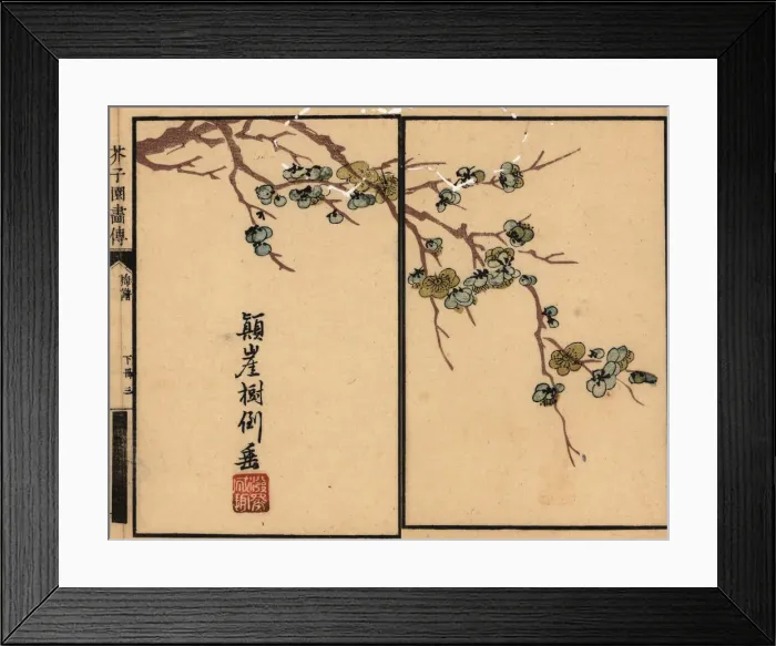 Framed Print : Branch of white plum blossom with calligraphy and seal Framed Print : Branch of white plum blossom with calligraphy and seal