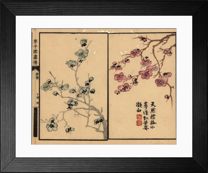 Framed Print : Branches of plum blossom with calligraphy and seal Framed Print : Branches of plum blossom with calligraphy and seal