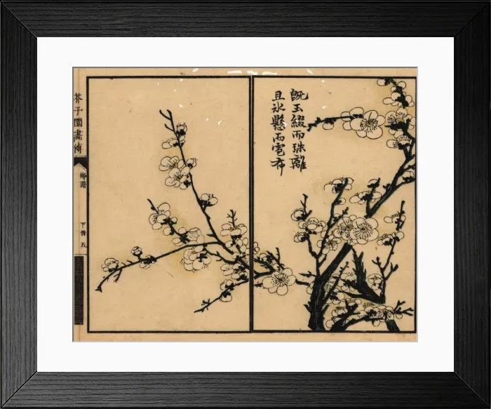 Framed Print : Branch of white plum blossom with calligraphy Framed Print : Branch of white plum blossom with calligraphy