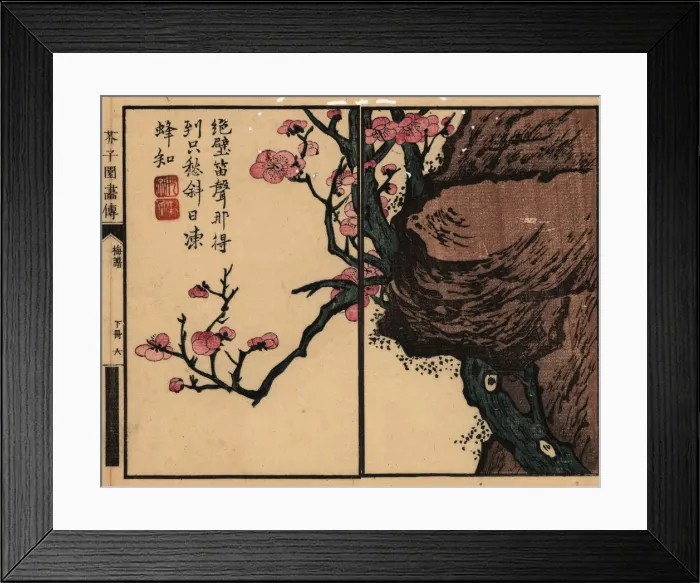 Framed Print : Branch of pink plum blossom on a rock with calligraphy Framed Print : Branch of pink plum blossom on a rock with calligraphy