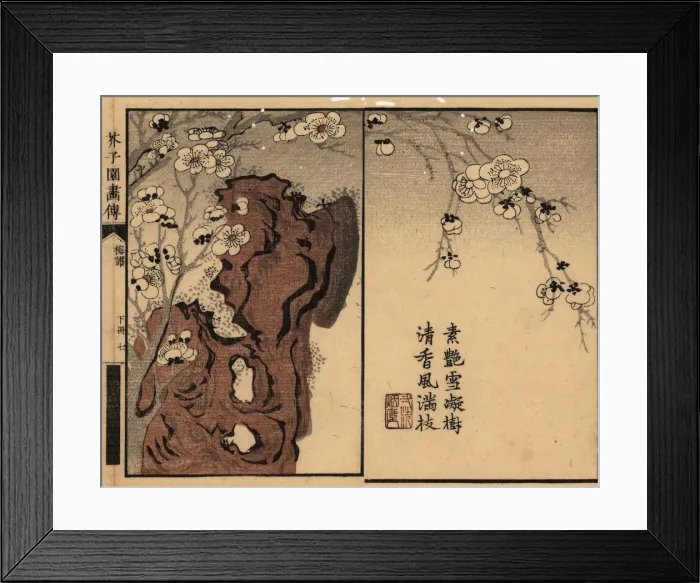 Framed Print : Branch of white plum blossom on a rock with calligraphy Framed Print : Branch of white plum blossom on a rock with calligraphy