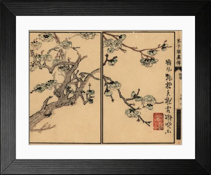 Framed Print : Branch of white plum blossom with calligraphy and seal Framed Print : Branch of white plum blossom with calligraphy and seal