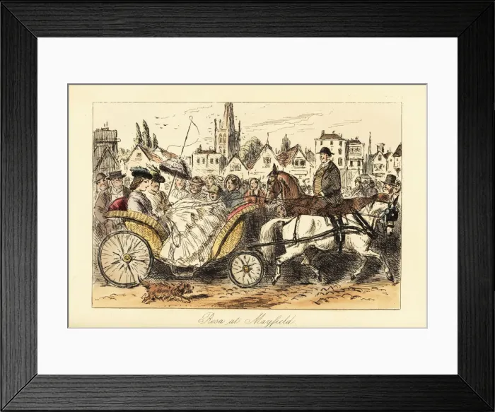 Framed Print : English lady driving a carriage through the busy streets Framed Print : English lady driving a carriage through the busy streets