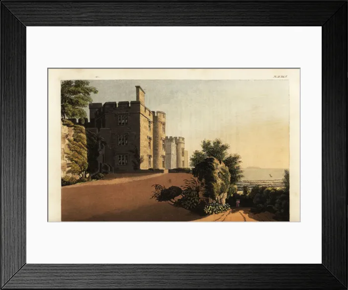 Framed Print : Dunster Castle, Somerset, seat of John Fowles Luttrell Framed Print : Dunster Castle, Somerset, seat of John Fowles Luttrell