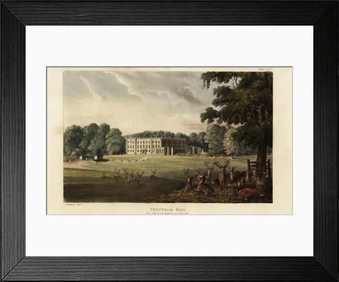 Framed Print : Herd of deer in front of Trentham Hall