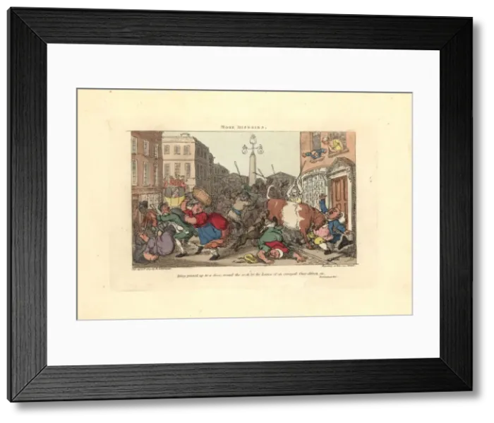 Framed Print : Man pinned to a door by the horns of an enraged ox Framed Print : Man pinned to a door by the horns of an enraged ox
