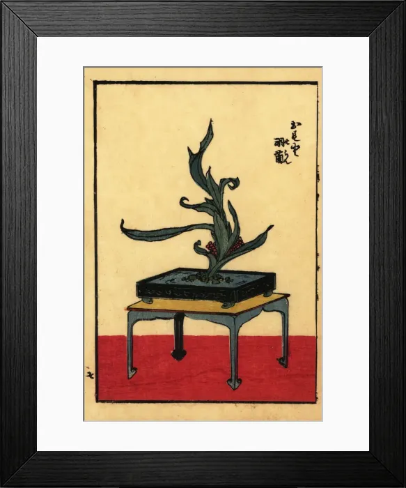 Framed Print : Japanese flower arrangement with lords and ladies Framed Print : Japanese flower arrangement with lords and ladies