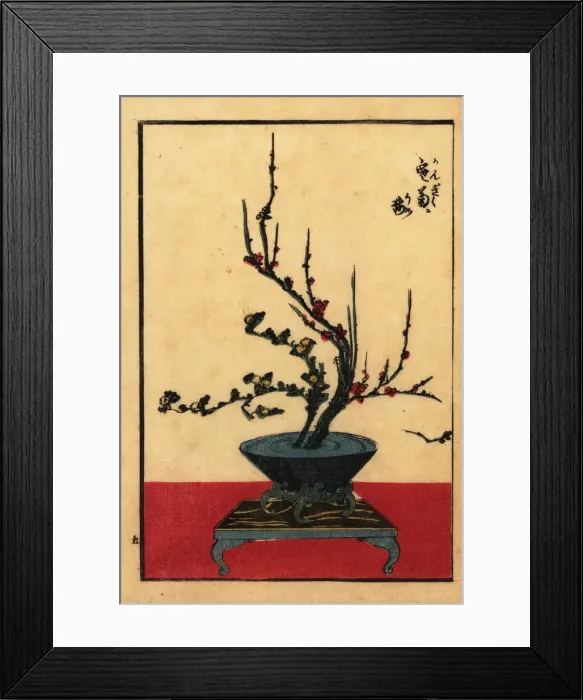 Framed Print : Japanese flower arrangement with chrysanthemum and plum Framed Print : Japanese flower arrangement with chrysanthemum and plum