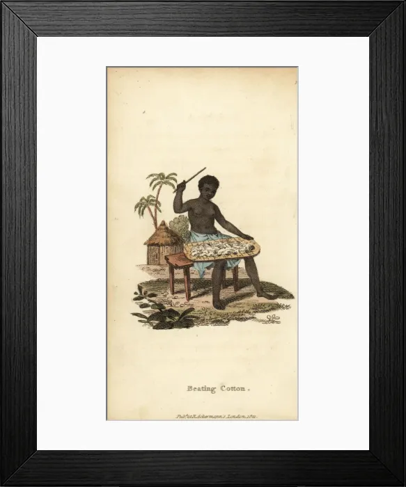 Framed Print : Woman of Senegambia beating cotton, 18th century Framed Print : Woman of Senegambia beating cotton, 18th century