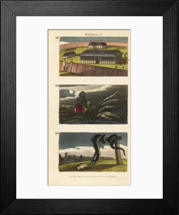 Framed Print : Scenes from Guinea, Africa, 1820 Framed Print : Scenes from Guinea, Africa, 1820