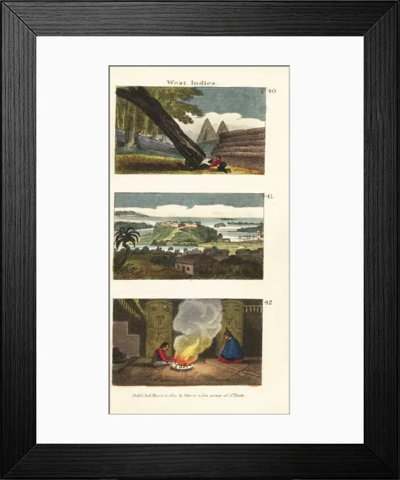 Framed Print : Scenes in the Americas Framed Print : Scenes in the Americas