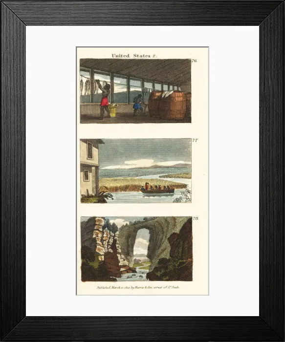 Framed Print : Slavery in Virginia and South Carolina Framed Print : Slavery in Virginia and South Carolina