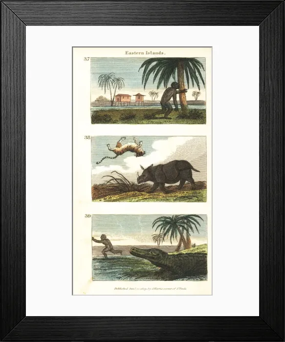 Framed Print : Historical views of the Eastern Islands (Indonesia) Framed Print : Historical views of the Eastern Islands (Indonesia)