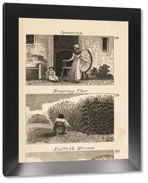 Trades in Regency England. Spinning, reaping flax