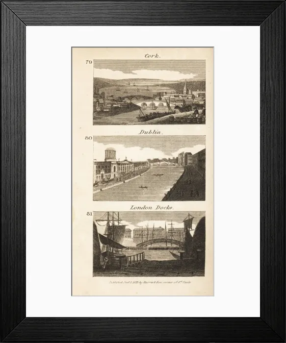 Framed Print : Trades in Regency Ireland and England: Cork, Dublin Framed Print : Trades in Regency Ireland and England: Cork, Dublin