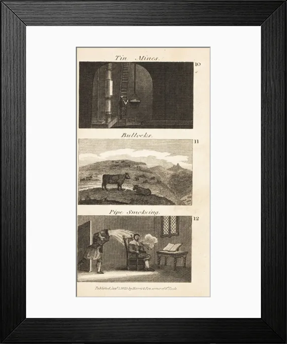 Framed Print : Trades in Regency England. Tin mines, bullocks Framed Print : Trades in Regency England. Tin mines, bullocks