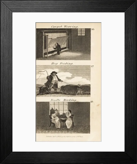 Framed Print : Trades in Regency England. Carpet weaving, hog feeding Framed Print : Trades in Regency England. Carpet weaving, hog feeding