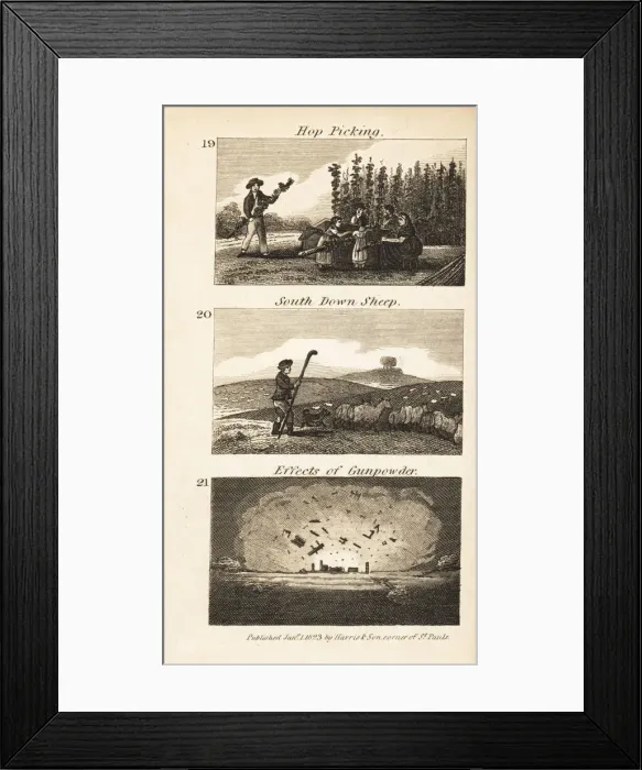 Framed Print : Trades in Regency England. Hop picking, South Down Framed Print : Trades in Regency England. Hop picking, South Down