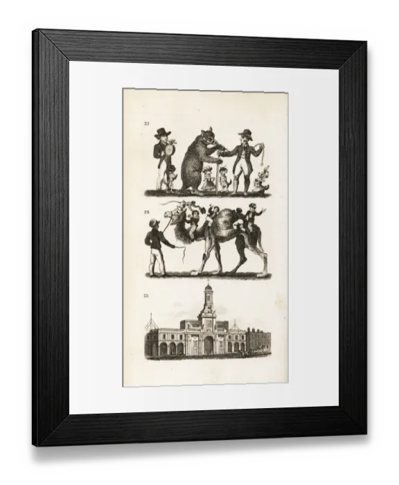Framed Print : Dancing Bear and Dog, Camel and Monkey Framed Print : Dancing Bear and Dog, Camel and Monkey