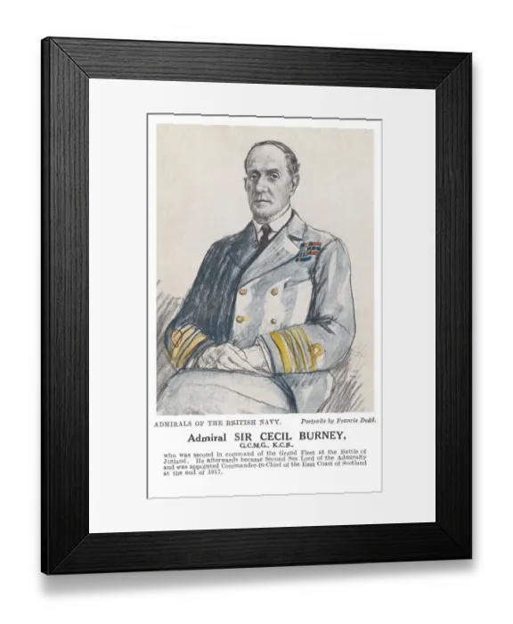 Framed Print : Cecil Burney Framed Print : Cecil Burney