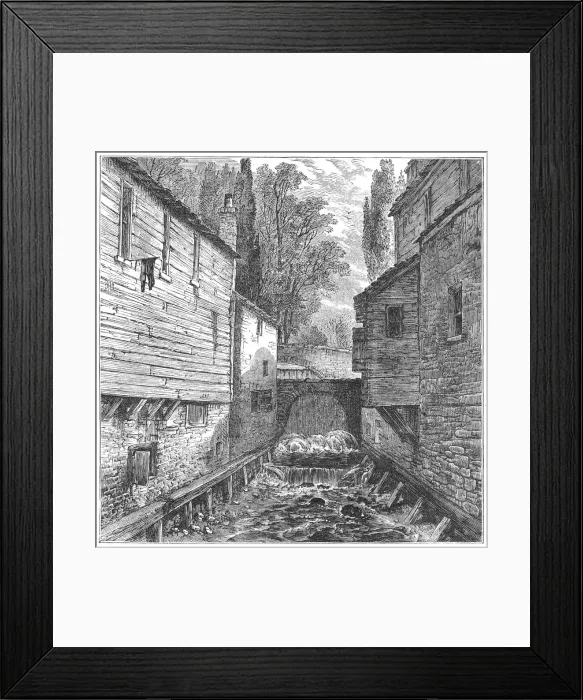 Framed Print : The Serpentine Framed Print : The Serpentine