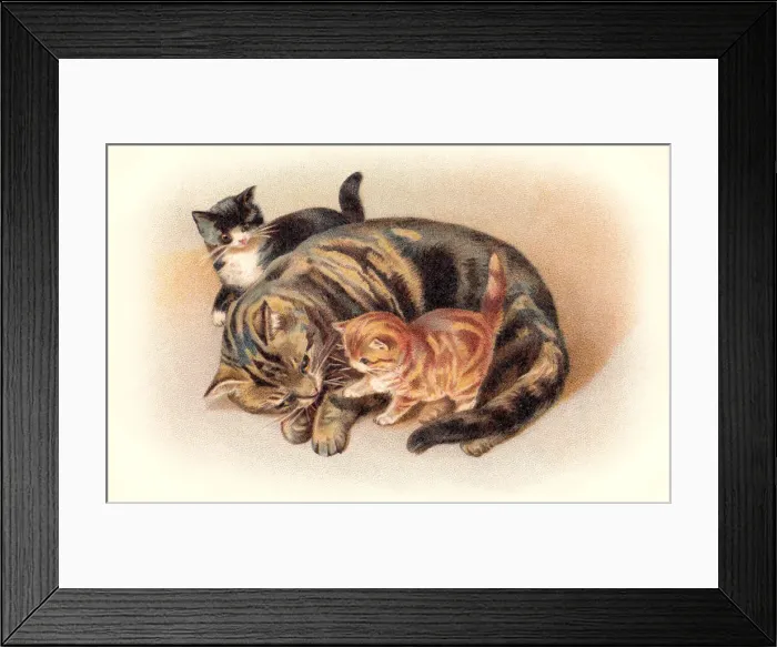 Framed Print : Tabby cat curled up on the floor with two kittens Framed Print : Tabby cat curled up on the floor with two kittens