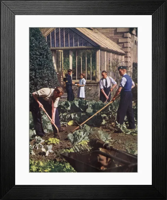 Framed Print : Gardening at a Depot Framed Print : Gardening at a Depot
