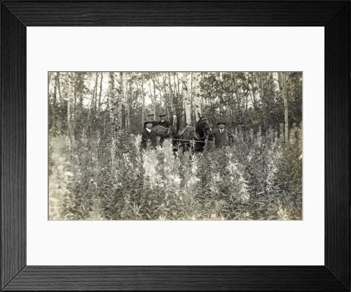 Framed Print : Saskatchewan, Canada - four men with buggy Framed Print : Saskatchewan, Canada - four men with buggy