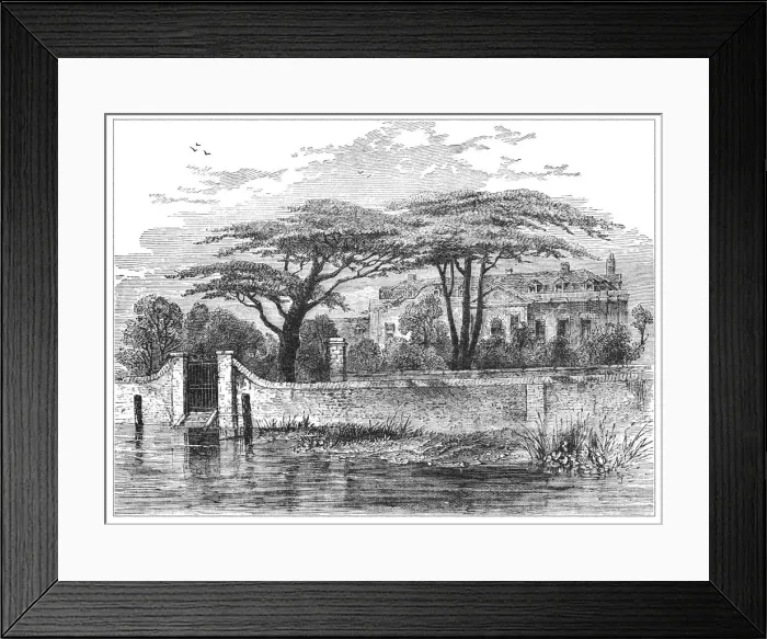 Framed Print : Botanic Gardens Chelsea Framed Print : Botanic Gardens Chelsea
