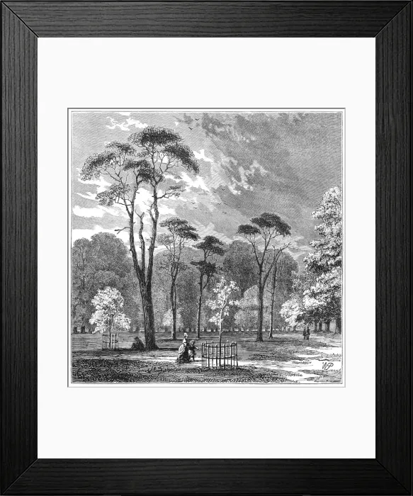 Framed Print : Kensington Gardens Framed Print : Kensington Gardens