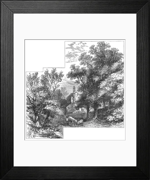 Framed Print : Craven Hill Framed Print : Craven Hill