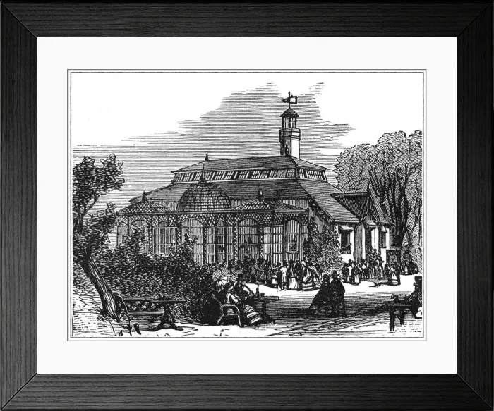 Framed Print : London Zoo Framed Print : London Zoo