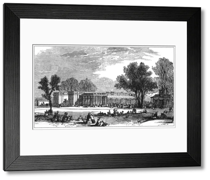 Framed Print : London Zoo Framed Print : London Zoo
