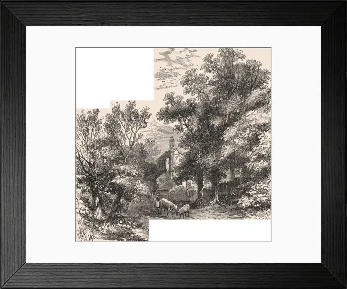 Framed Print : Craven Hill Framed Print : Craven Hill
