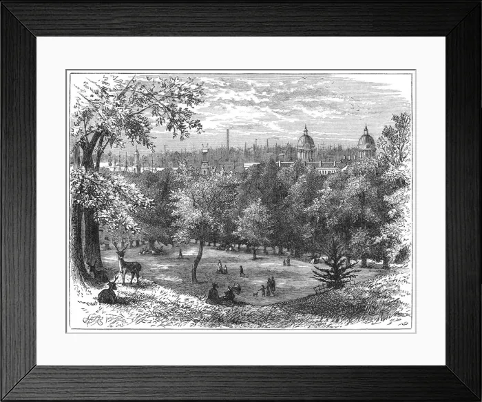 Framed Print : Greenwich Park Framed Print : Greenwich Park