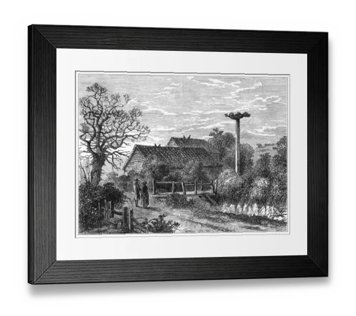 Framed Print : Sydenham Wells Framed Print : Sydenham Wells
