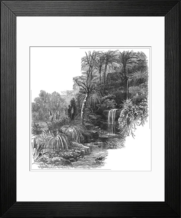 Framed Print : Tropical Gardens Battersea Framed Print : Tropical Gardens Battersea
