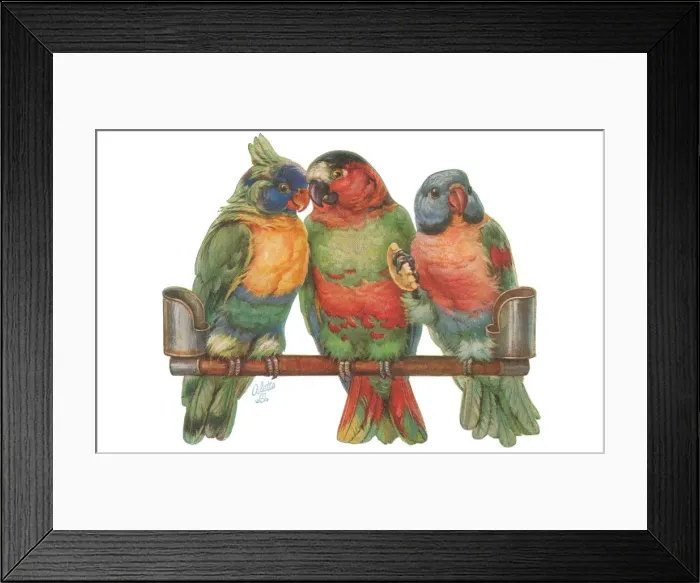 Framed Print : Parrots. Artist: May Bowley Date: circa 1920 Framed Print : Parrots. Artist: May Bowley Date: circa 1920