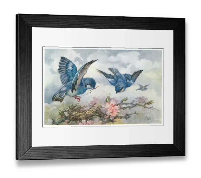 Framed Print : May Bowley Birds Framed Print : May Bowley Birds