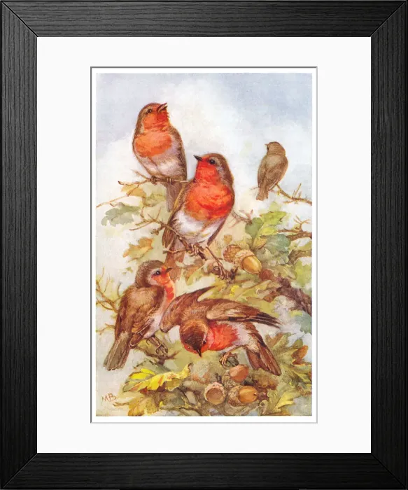 Framed Print : May Bowley Birds Framed Print : May Bowley Birds