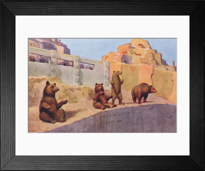 Framed Print : London Zoo Framed Print : London Zoo
