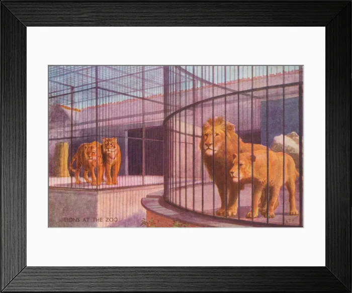 Framed Print : London Zoo Framed Print : London Zoo