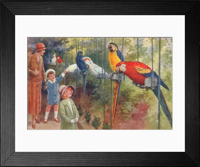 Framed Print : London Zoo Framed Print : London Zoo