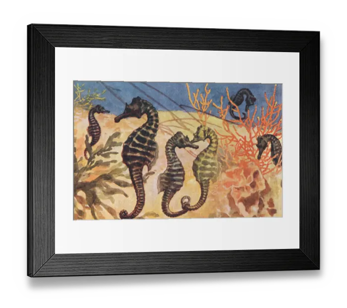 Framed Print : London Zoo Framed Print : London Zoo