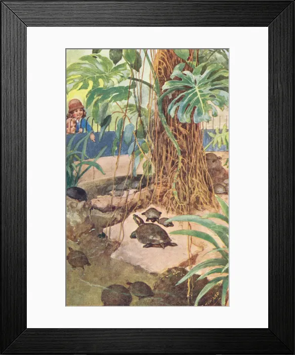 Framed Print : London Zoo Framed Print : London Zoo
