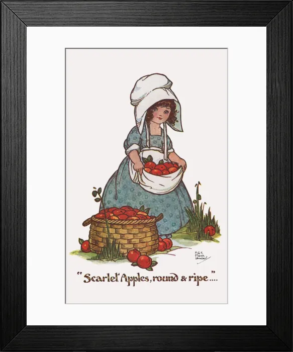 Framed Print : Scarlet Apples round and Ripe Framed Print : Scarlet Apples round and Ripe