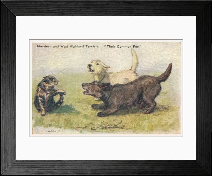 Framed Print : Terriers. Aberdeen and West Highland Terriers. Artist: Eileen Hood Date: circa 1930 Framed Print : Terriers. Aberdeen and West Highland Terriers. Artist: Eileen Hood Date: circa 1930
